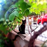 Diva * زادار